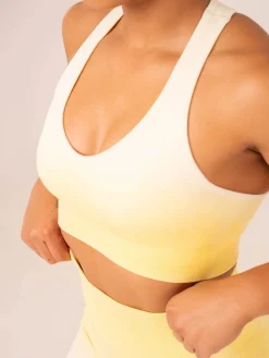 Ombre Seamless Sports Bra