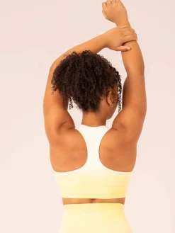 Ombre Seamless Sports Bra